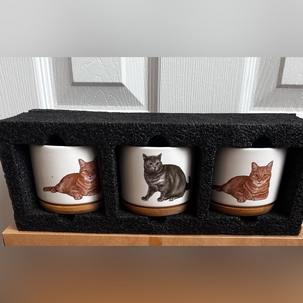 Gift A Girl Mini Cat Planters | Set of 3 | NEW